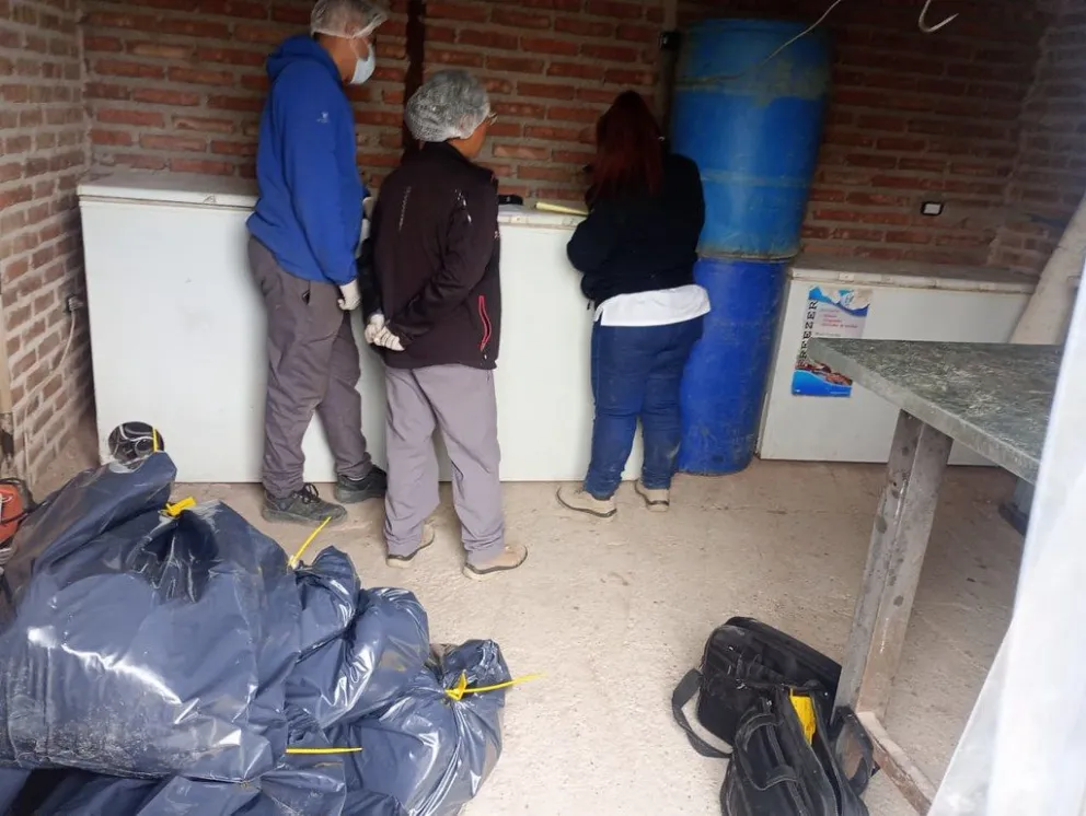 La Municipalidad encontró un depósito de carne clandestino que funcionaba en la ciudad 