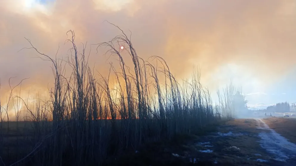 Incendio de pastizales complicó la visibilidad en Ruta 151 