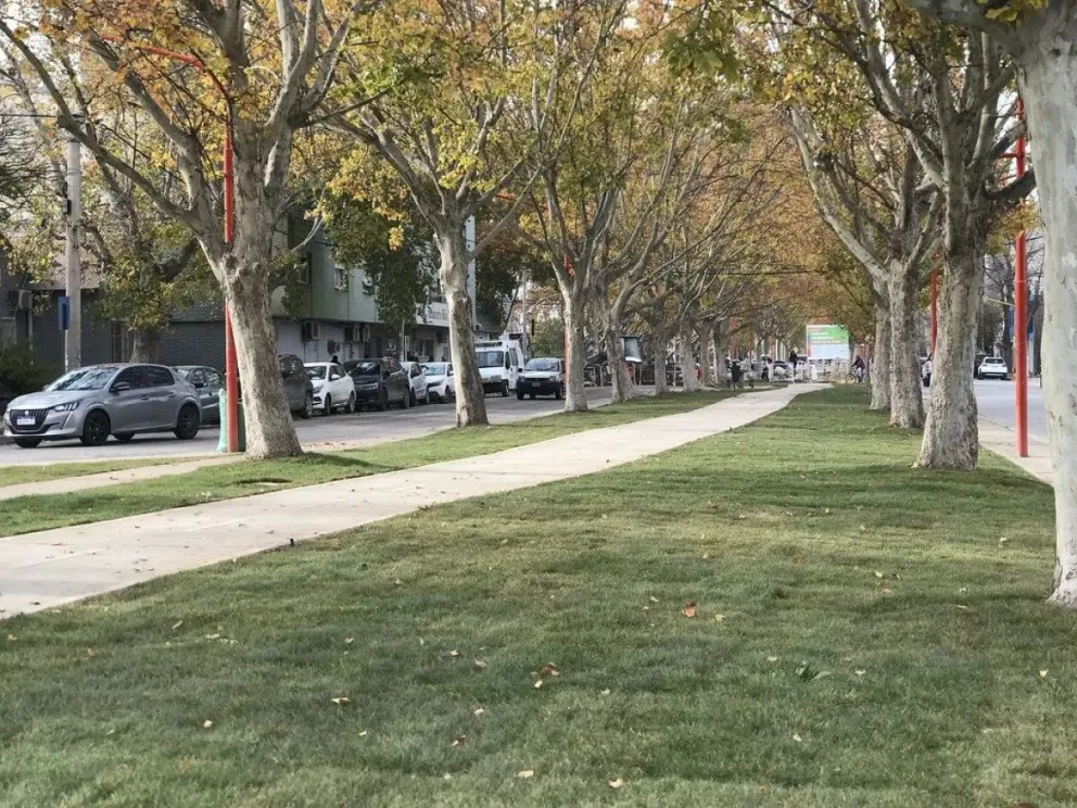 Avanza a buen ritmo la obra del paseo urbano de calle Alem
