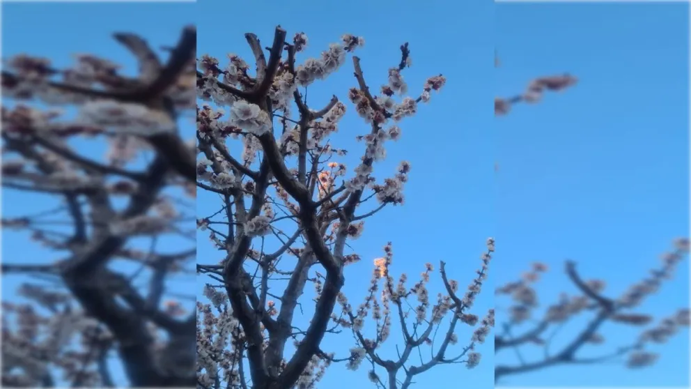 Agosto se despide con un sábado primaveral y septiembre llega con calidez