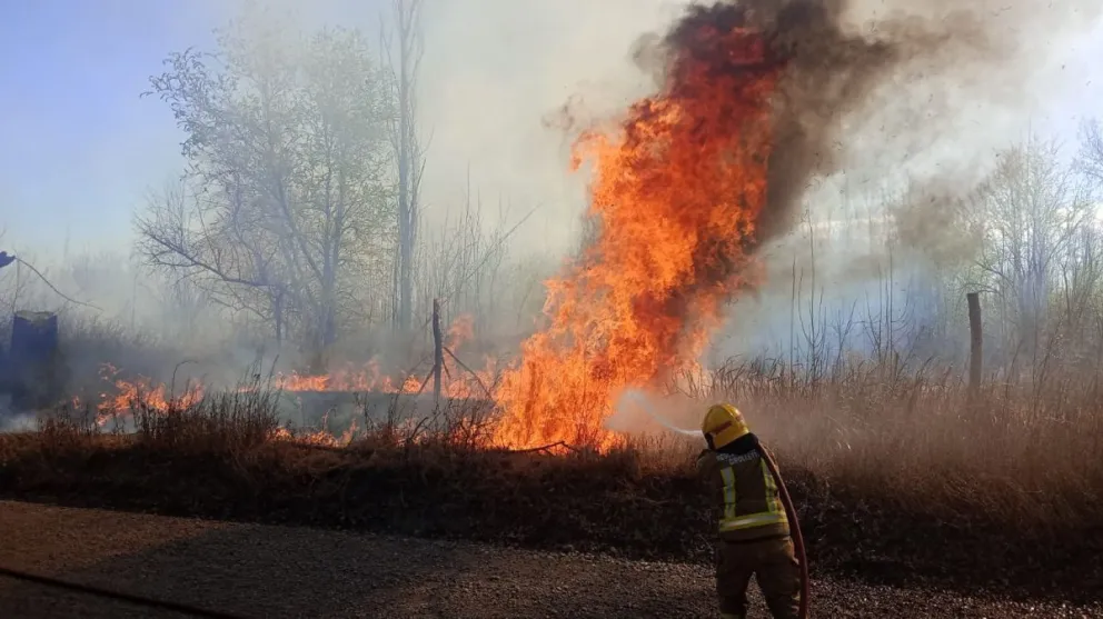 Dos dotaciones de bomberos trabajaron por un incendio cerca de la Escuela N° 50