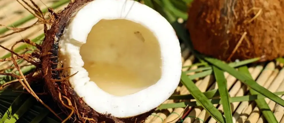 Cómo incorporar el coco en tu alimentación para mejorar tu salud