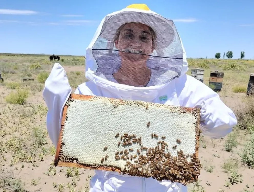 Los unió el amor por las abejas y así fue como crearon un exitoso emprendimiento juntos 