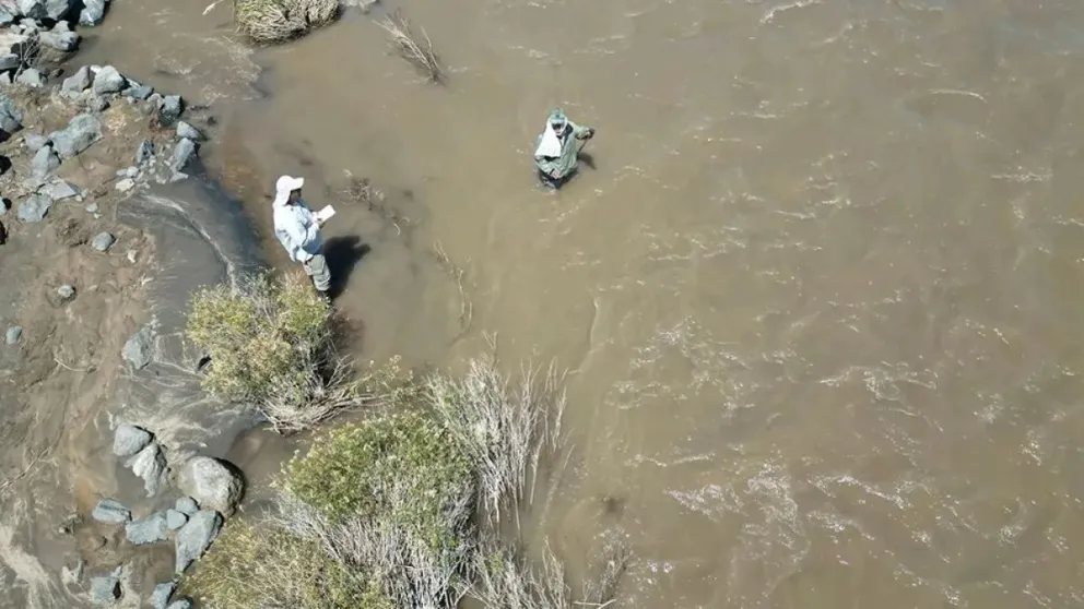 Investigaron el impacto de los micro plásticos en el agua del Río Colorado