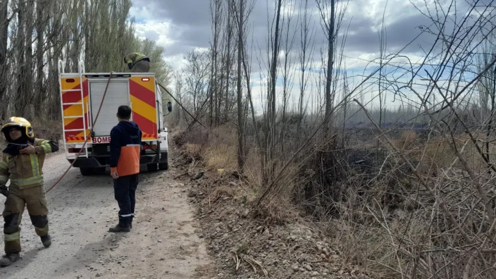 Viento, incendios e imprudencia: esta tarde Bomberos y Protección Civil trabajaron sin descanso