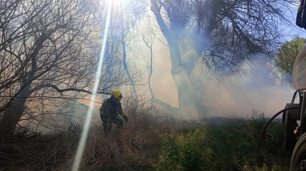 Un voraz incendio arrasó una chacra y destruyó 16.000 fardos de pasto en el barrio Labraña