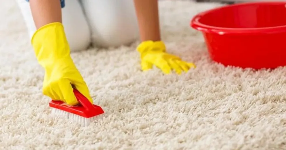 Mirá el truco casero para dejar las alfombras de tu casa relucientes en simples pasos