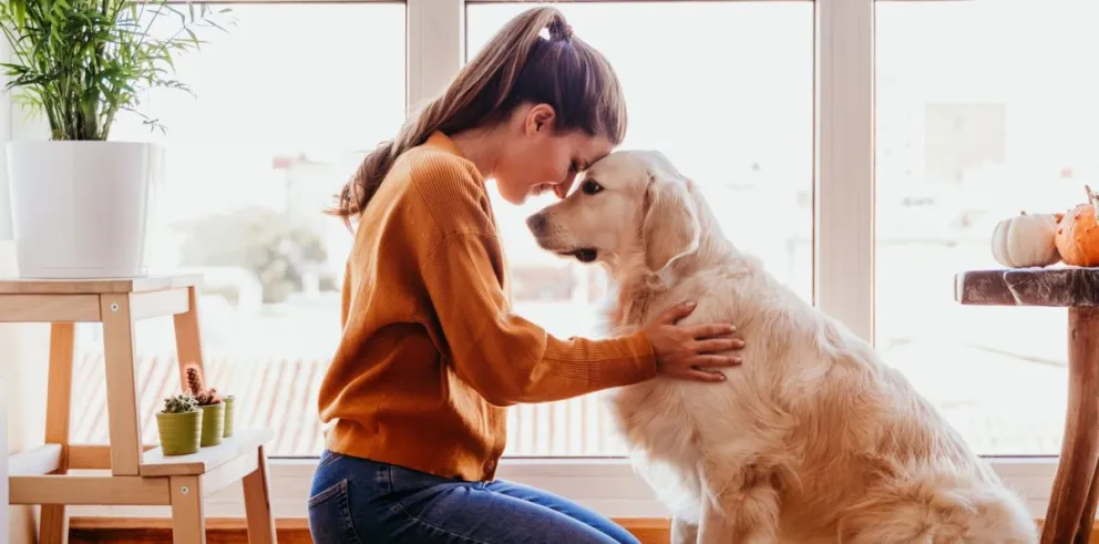 ¿Sabías que los perros pueden ayudarte a superar situaciones traumáticas?