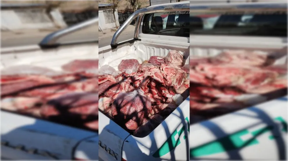 Decomisaron 800 kilos de carne en mal estado en comercios de la región