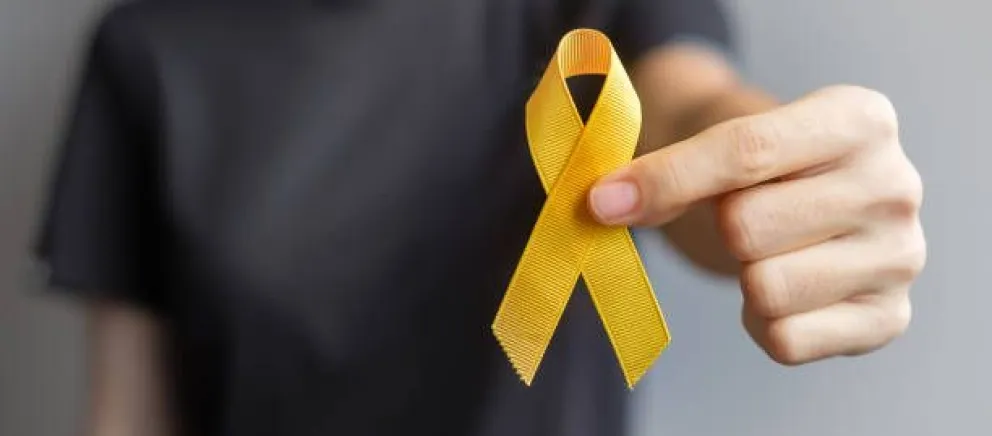 La ciudad presenta el Congreso Nacional de Suicidiología
