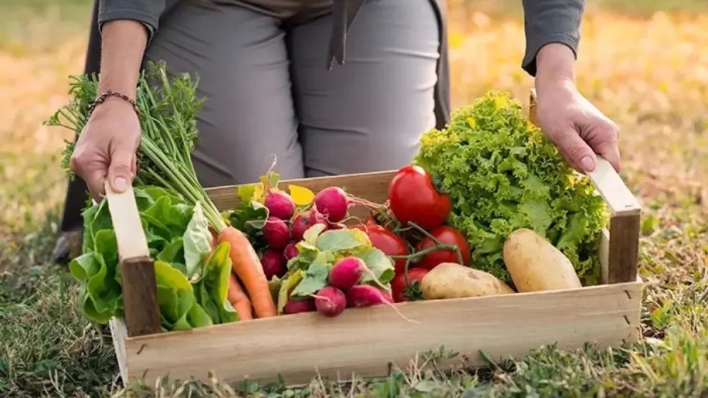 Los precios de los alimentos agroecológicos se multiplicaron por 3,4 veces en septiembre