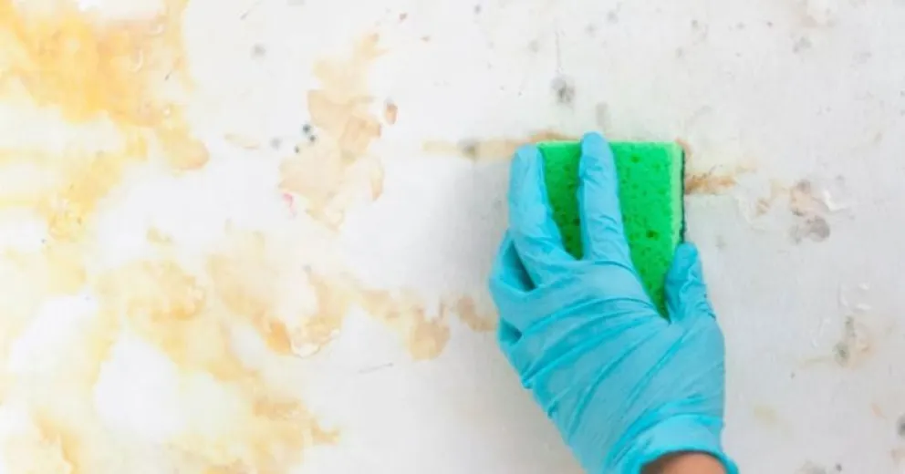 Aprendé cómo sacar las manchas de aceite de la pared con este truco viral 