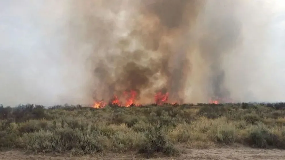 A un año de su implementación, el sistema de alerta de incendios está dando buenos resultados