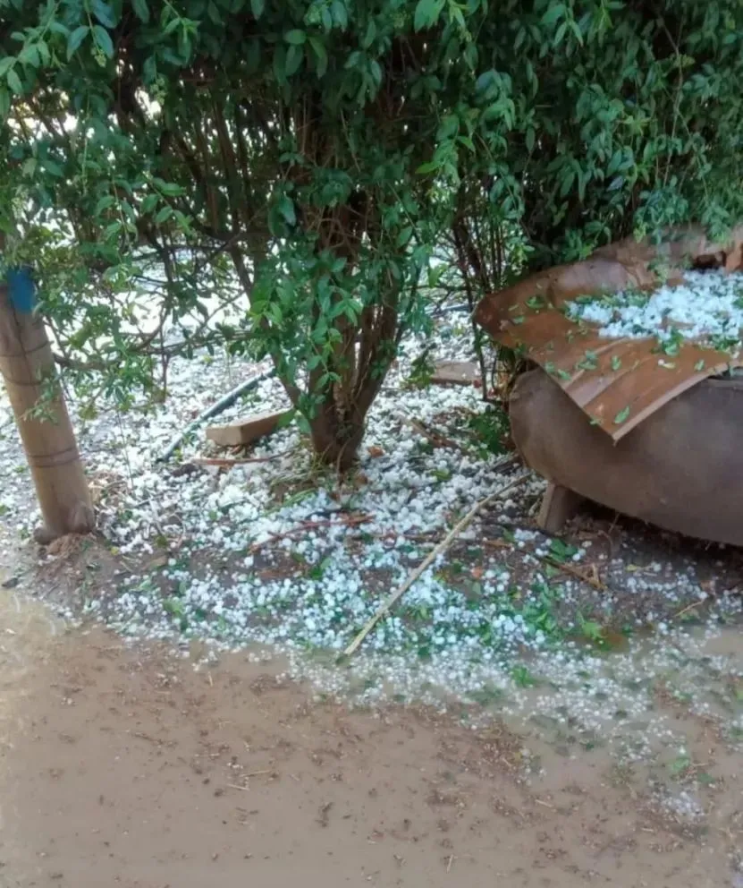 Cayó granizo en la región y provocó importantes daños en chacras al sur de la 22
