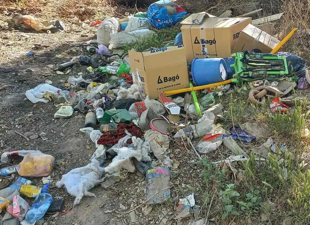 Luego de que lo denuncien, notificarán al vecino que arrojó basura en la vía pública