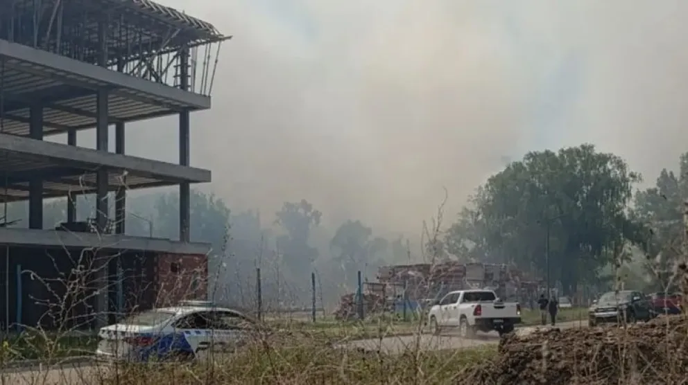 Un gran incendio arrasó tres hectáreas de vegetación en la región 