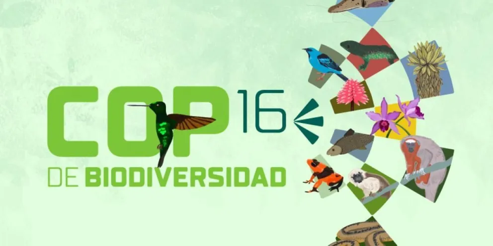 Arranca la COP16, debate mundial sobre la biodiversidad: cuál es la posición de Argentina