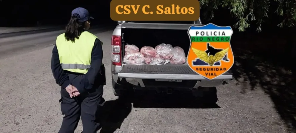 Alto Valle: la policía secuestró 65.000 kilos de carne transportada sin refrigeración