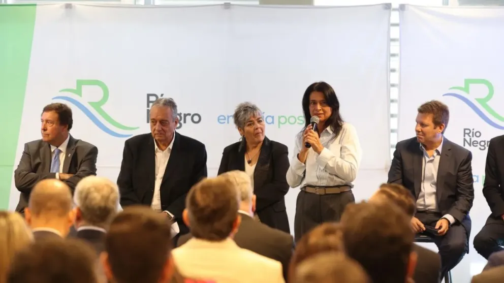 Río Negro avanza en una estrategia educativa energética