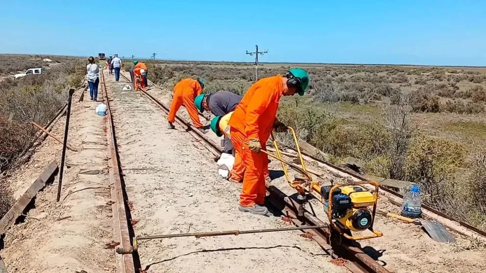 Tren Patagónico: operarios renuevan las vías para recuperar el tramo Viedma-San Antonio Oeste