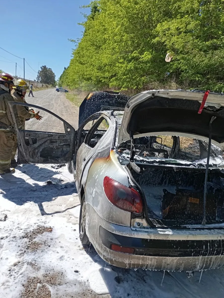 auto calcinado