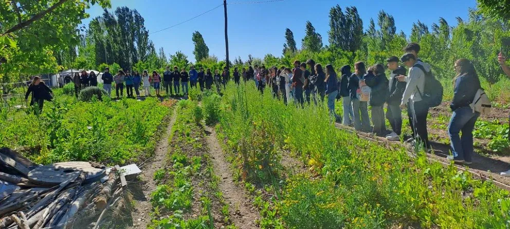 Más de 180 estudiantes cipoleños visitaron la huerta agroecológica de La Falda