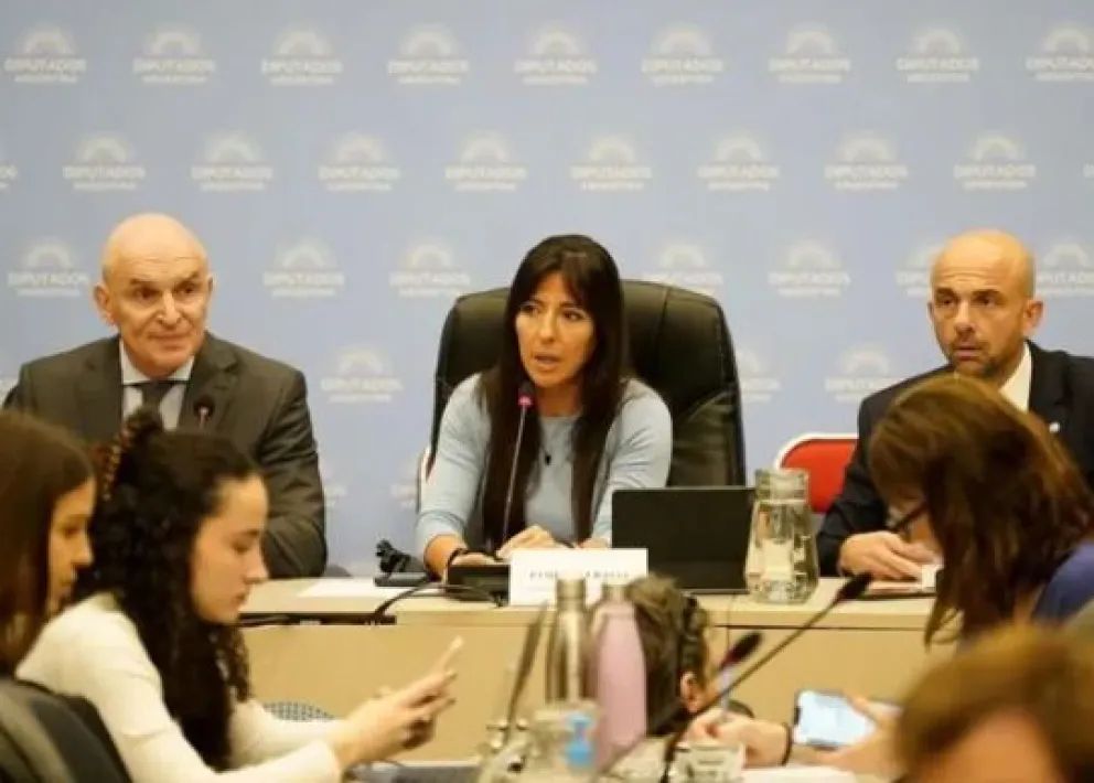 Avanza la privatización de Aerolíneas Argentinas: hubo dictamen en Diputados 