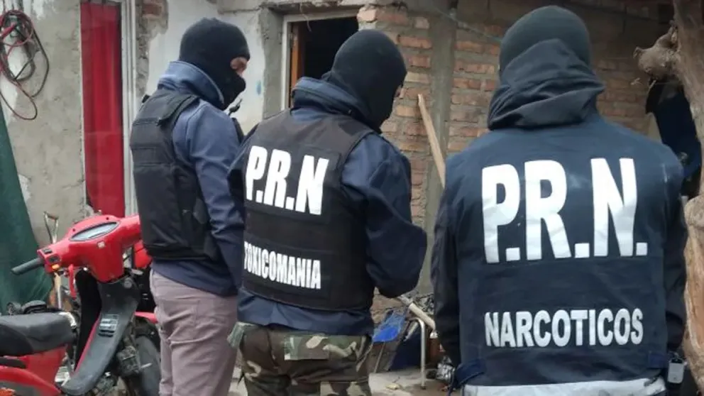 En tres allanamientos la Policía secuestró 65 plantas de marihuana