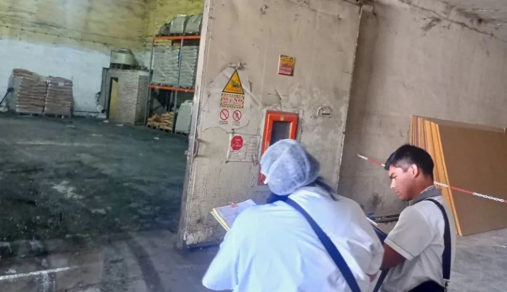 El Municipio clausuró tres comercios inhabilitados y secuestró una tonelada de pollos no apta para consumo