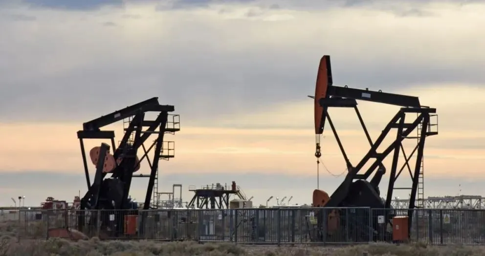 Inversores internacionales recorrieron el primer yacimiento rionegrino de Vaca Muerta