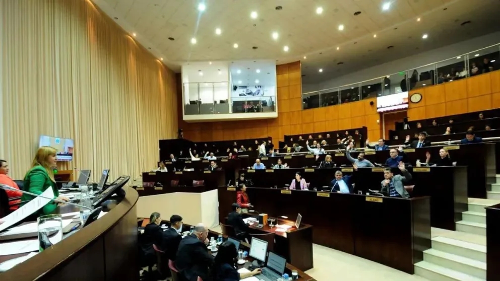 Polémica: la Legislatura autorizó a la policía neuquina el uso de las “pistolas Taser”