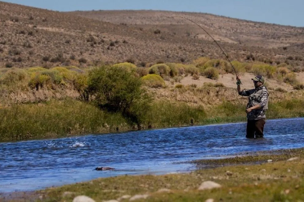 Naupa Huen: pesca con mosca, agua cristalina y paisajes maravillosos