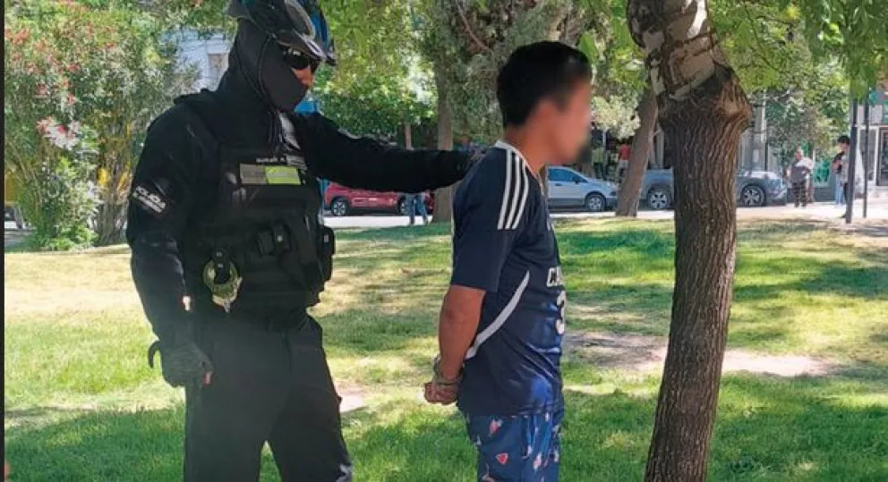 Tenía pedido de captura y paseaba por el Parque Central