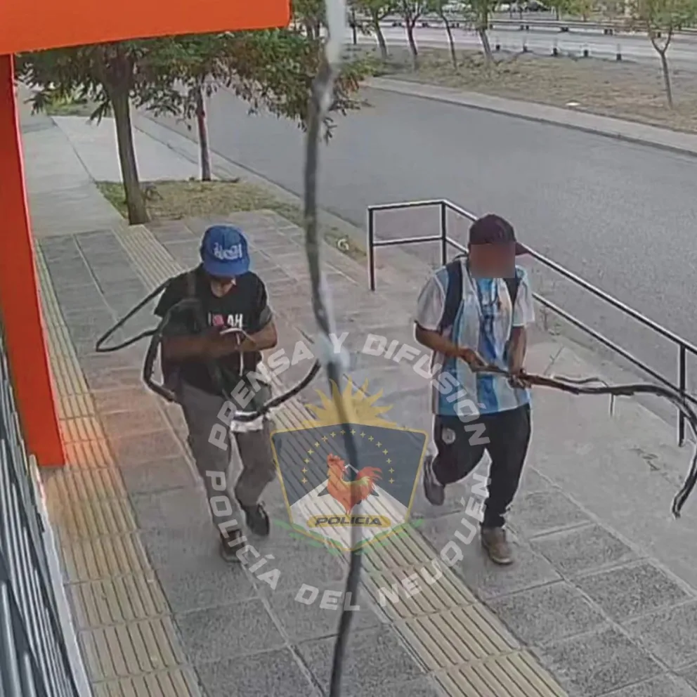 Frustraron el robo en un laboratorio  y demoran a dos personas