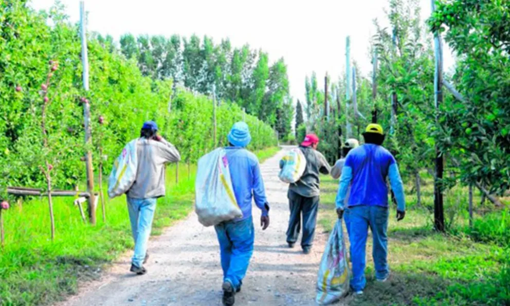 Bajo controles estrictos, ingresaron 11.000 trabajadores golondrina en el Alto Valle