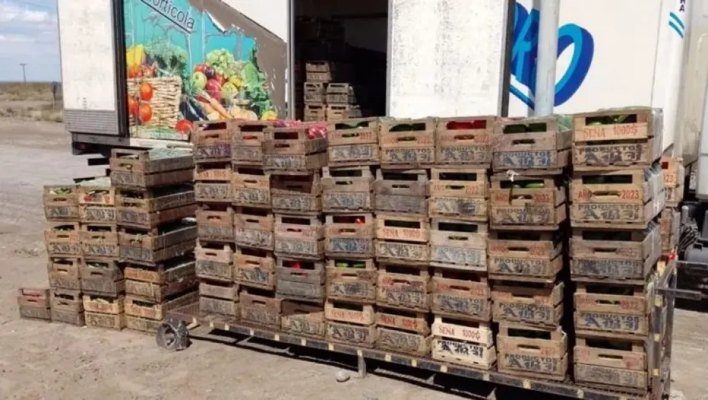 Traían 20 kilos de naranjas en el equipaje y los decomisaron en la región