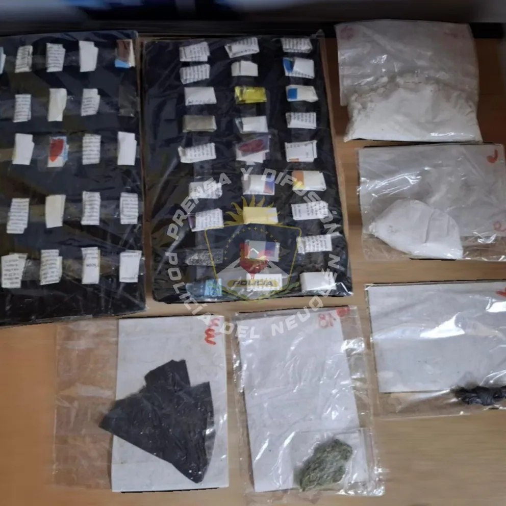 Golpe al narcomenudeo: incautaron droga por más de 9 millones de pesos