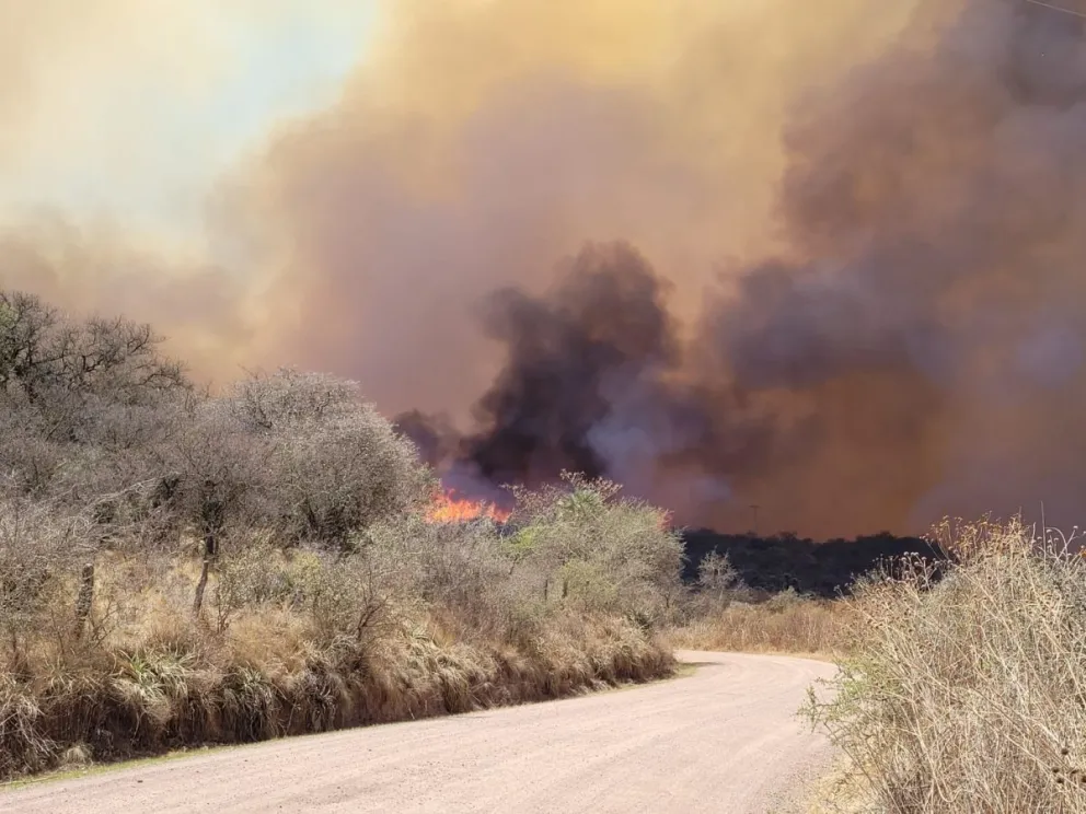 Piden reforzar las medidas de prevención de incendios forestales