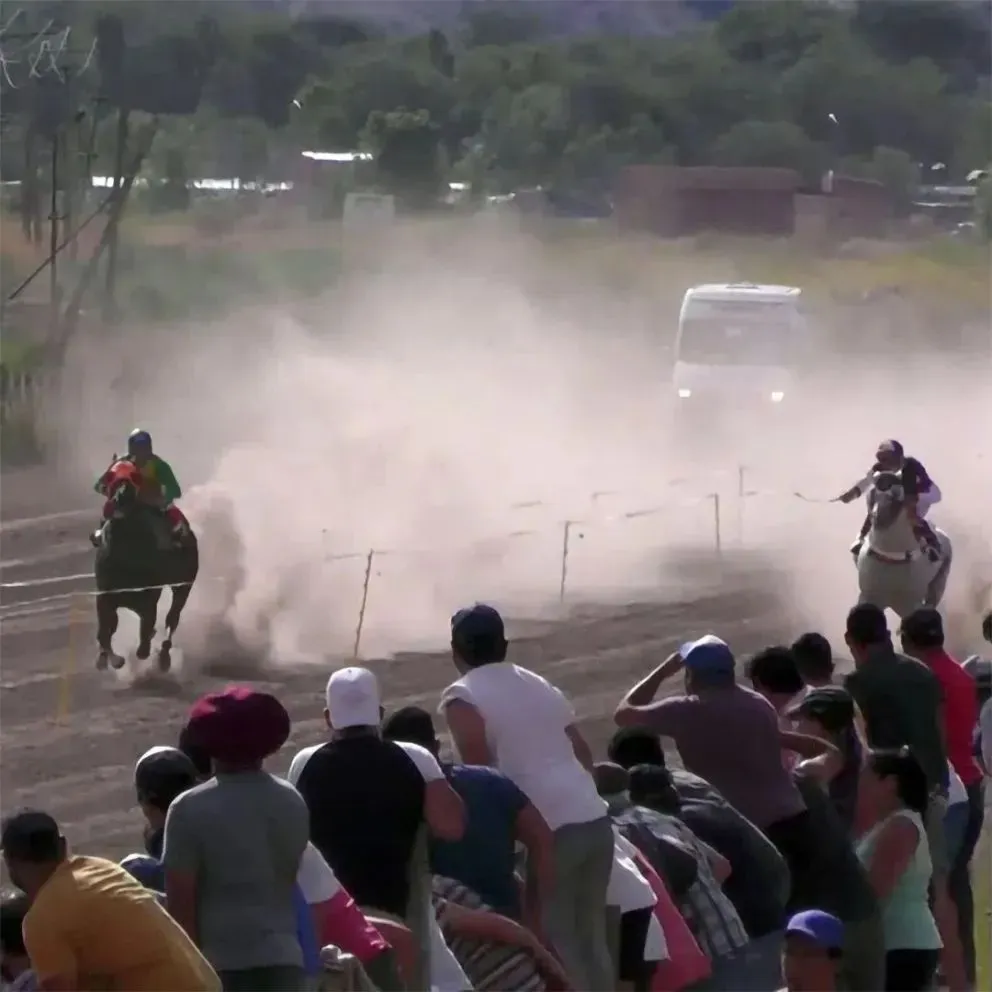 Murió un caballo en una carrera y el jockey terminó con graves lesiones