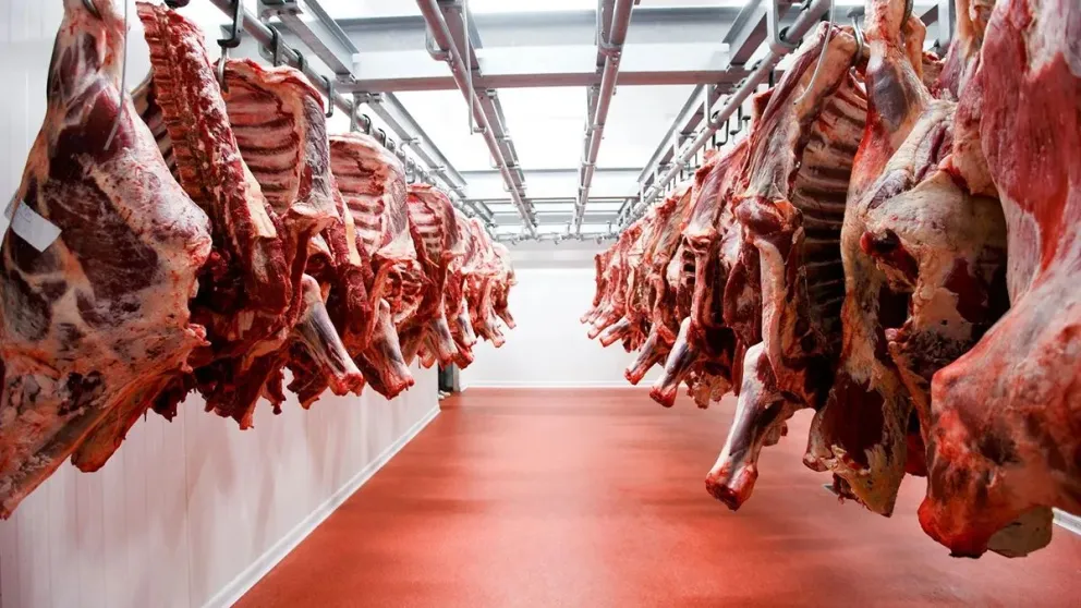 Exportación de carne vacuna: ingresaron U$S2500 millones tras la eliminación de restricciones