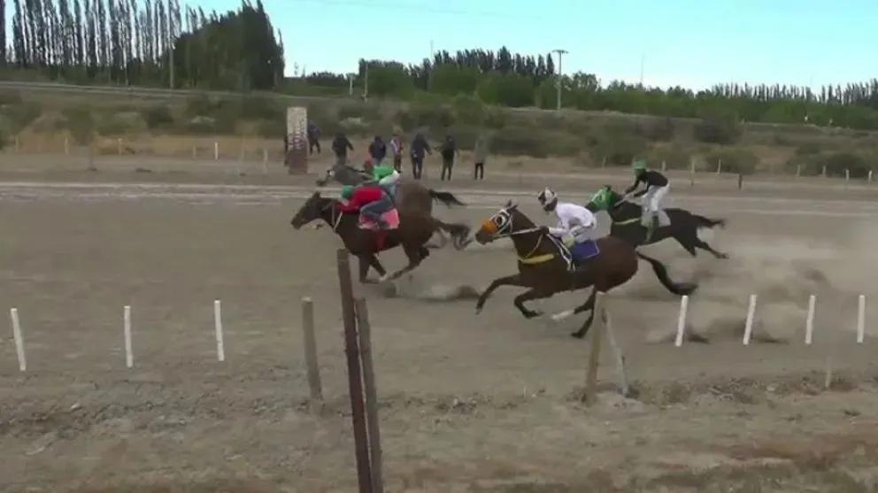 Muerte del jinete en Regina: se reabrió la polémica en relación a las carreras de caballos y el maltrato animal