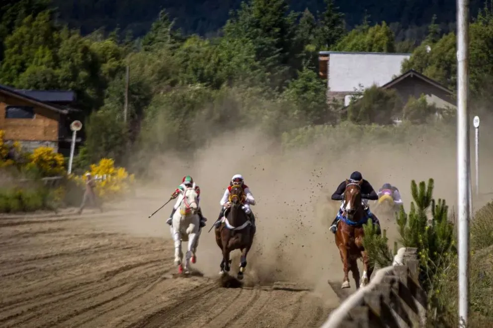 Otra tragedia en el Hipódromo: una yegua murió tras sufrir un paro cardíaco 