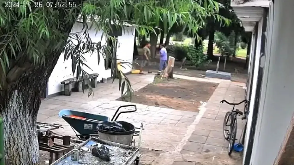 Video: de un machetazo le cortó la oreja a su compañero de trabajo 