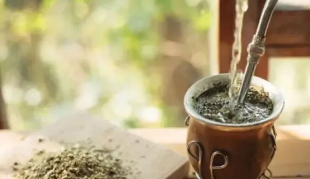 Yerba mate: preocupación por la caída del consumo interno y las exportaciones