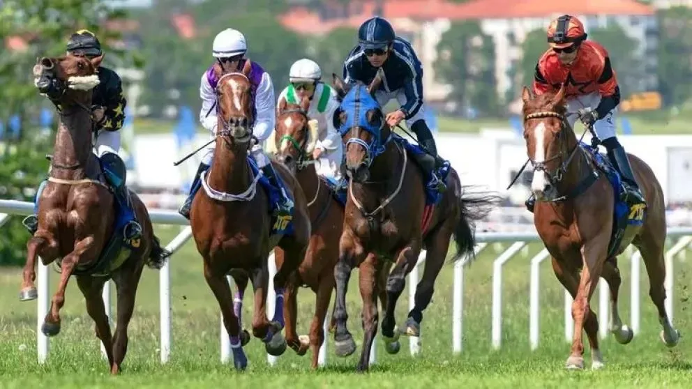 Carrera de caballos y maltrato animal: piden suspender las carreras