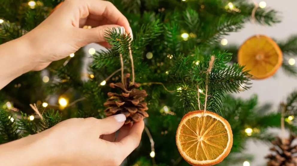 El ritual del Feng Shui para atraer prosperidad en 2025: el secreto del árbol de Navidad