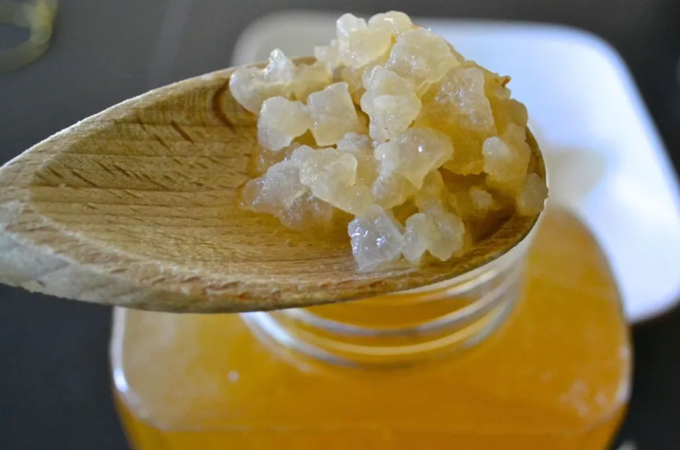 Kéfir: un elixir de salud con propiedades probióticas y antiinflamatorias