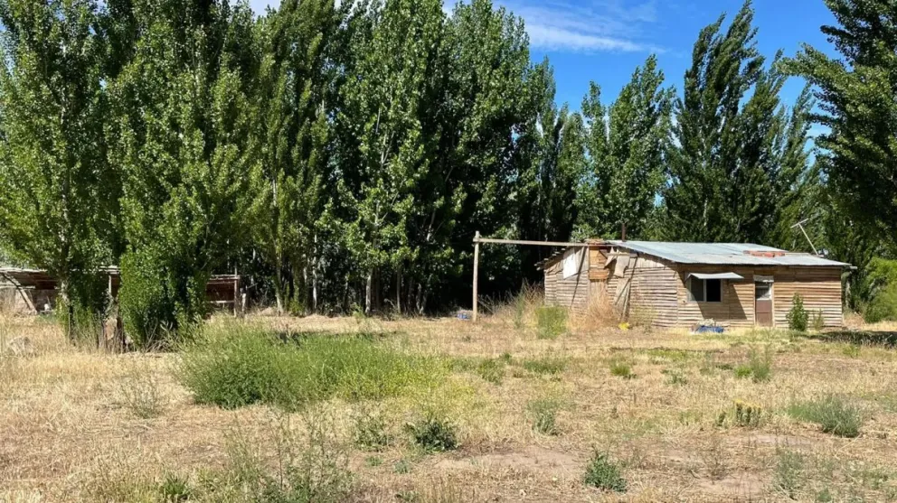 Se construirá un nuevo espacio verde en un predio fiscal que estaba ocupado irregularmente 