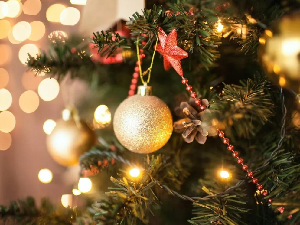 ¿En qué fecha se arma el árbol de Navidad?
