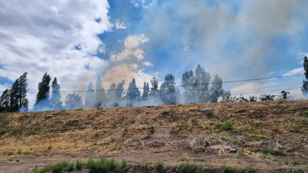 Incendio en el puente Cipolletti-Neuquén: bomberos combatieron las llamas